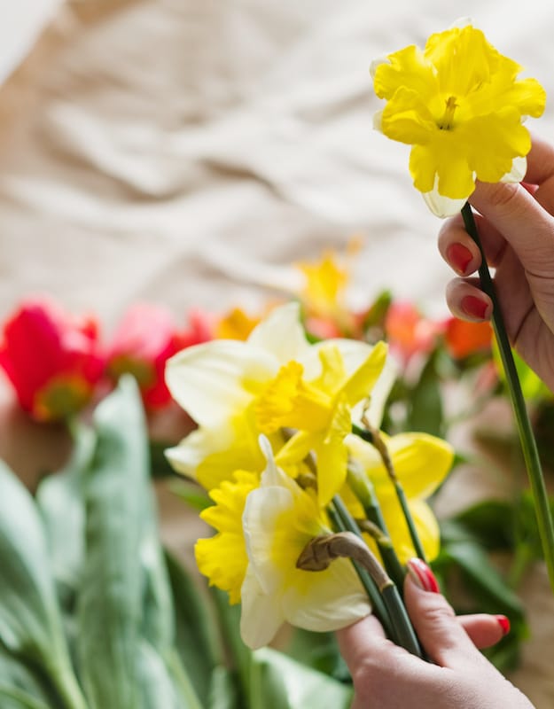 person laver buket af påskeliljer og tulipaner