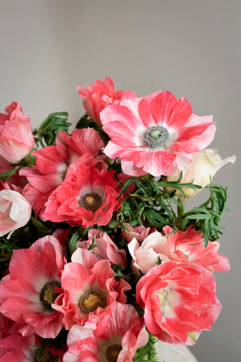 Forårets festlige farver: Forårsblomster til din påskefejring