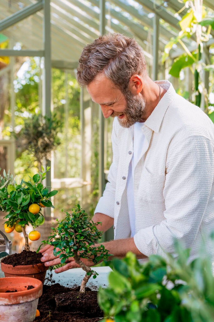 Mand planter i drivhus