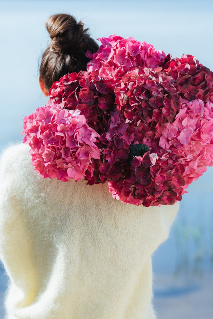 Pompøse hortensia