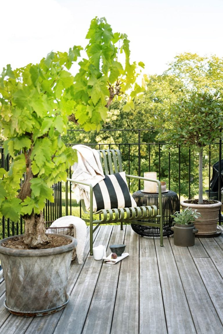 De smukkeste sommerblomster til at forskønne din terrasse og/eller altan