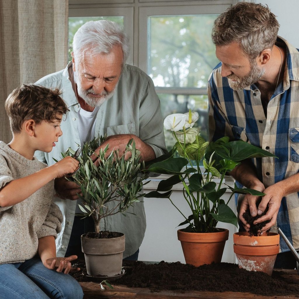 Bedstefar, far og søn planter grønne planter sammen