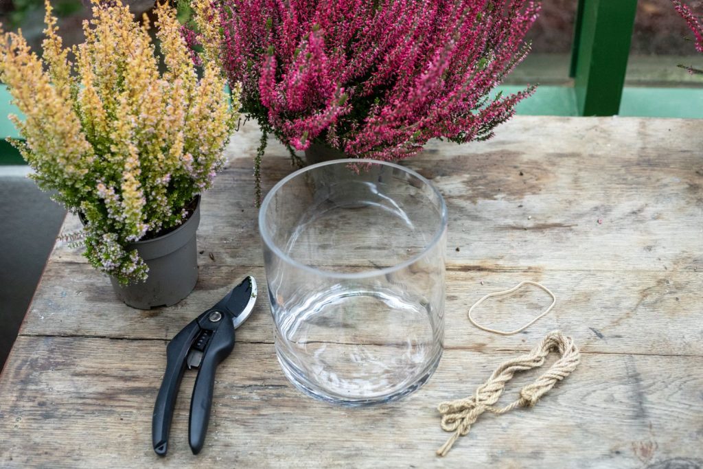 Redskaber til blomstrende efterårslanterne