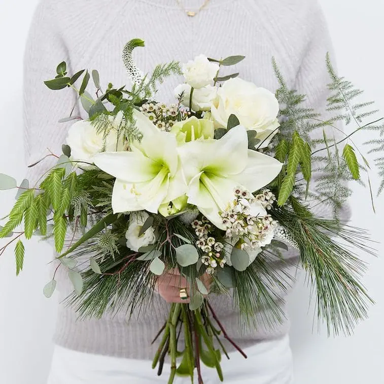 Amaryllis vinterbuket