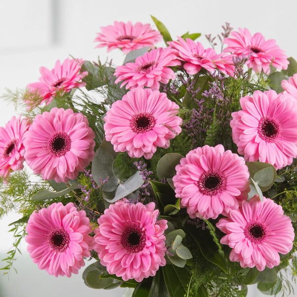 pink gerbera buket