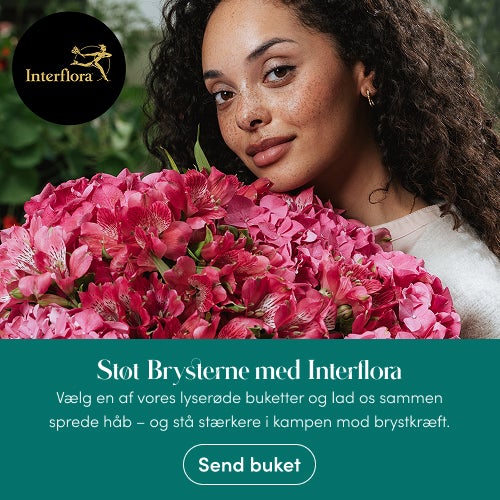 Støt Brysterne med Interflora. Vælg en af vores lyserøde buketter og lad os sammen sprede håb - og stå stærkere i kampen mod brystkræft. Send buket