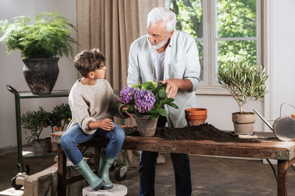 glad bedstefar og barnebarn planter træ i potte sammen