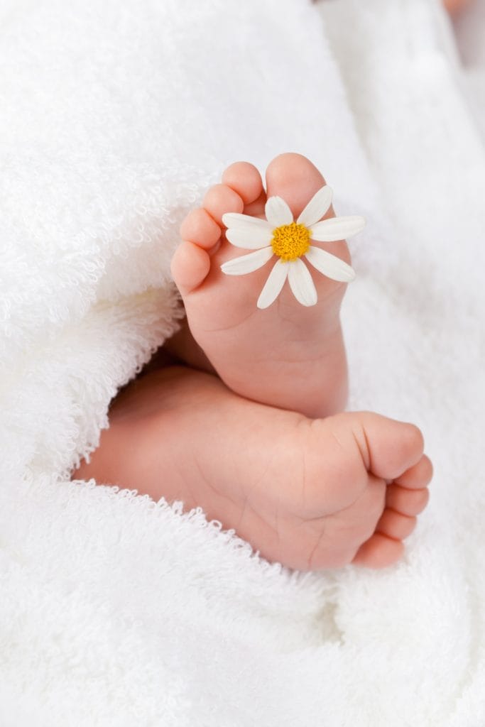 Babyens små fødder, med en blomst