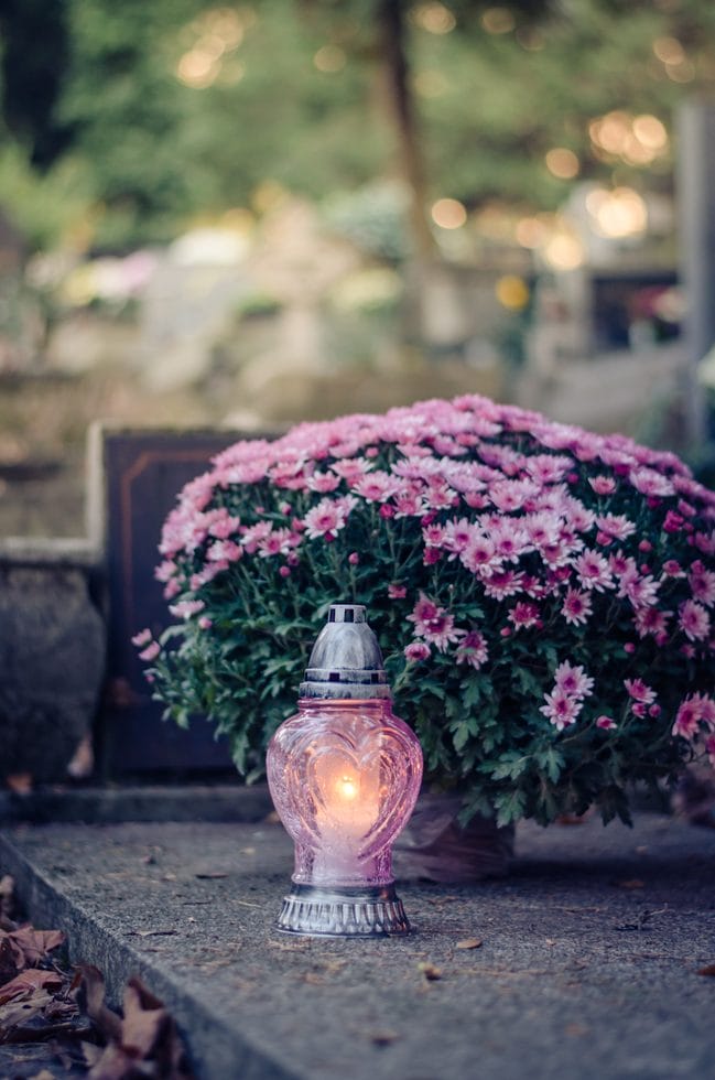 lyserøde blomster og lys på grav