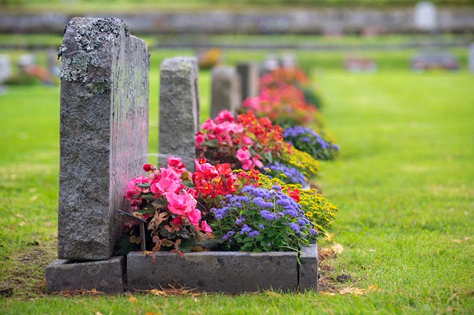 gravplads med farverige blomster
