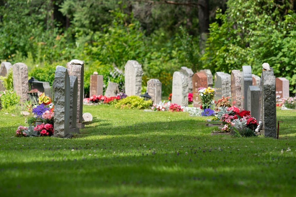 gravsteder med farverige blomster på grøn kirkegård