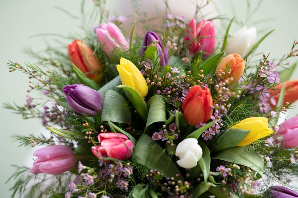 Buket med farverige tulipaner
