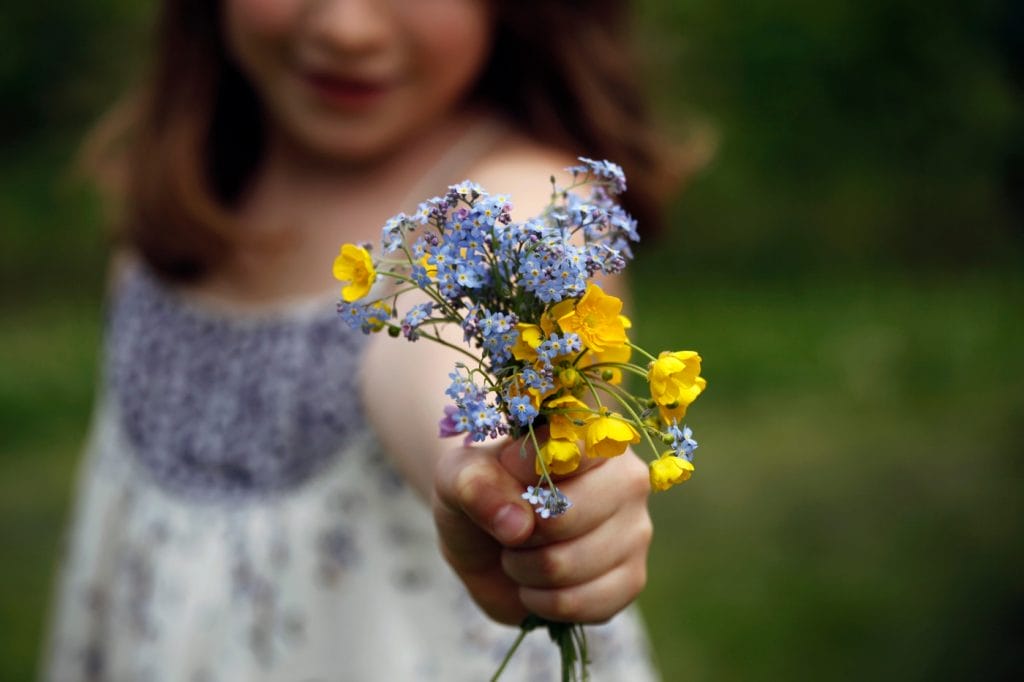 Lille pige, hånd med blomsterbuket, blå forglemmigejblomst og gul smørblomst