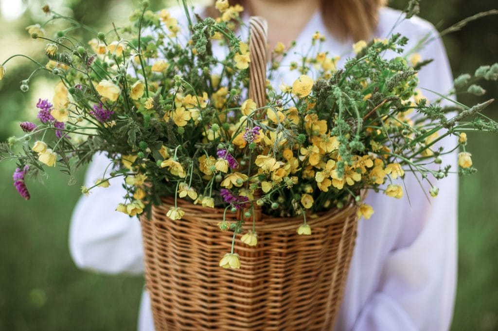 En pige i hvid bluse holder en flettet kurv med en buket vilde blomster og smørblomster.