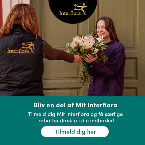 Banner Bliv en del af Mit Interflora. Tilmeld fig Mit Interflora og få særlige rabatter direkte i din indbakke! Tilmeld dig her.