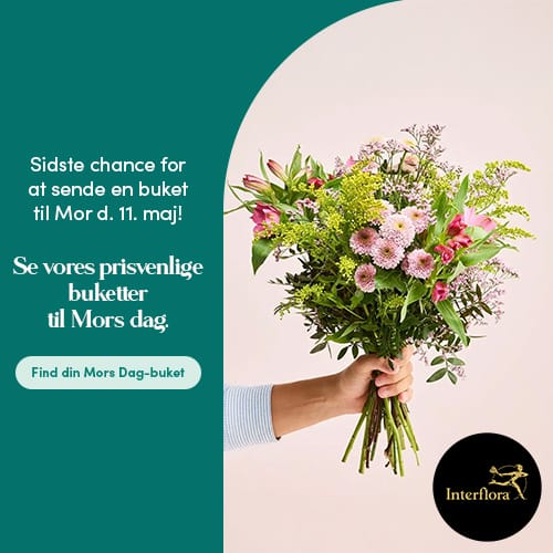 Banner Sidste chance for at sende en buket til Mor d. 11. maj! Se vores prisvenlige buketter til Mors dag. Find din Mors Dag-buket!