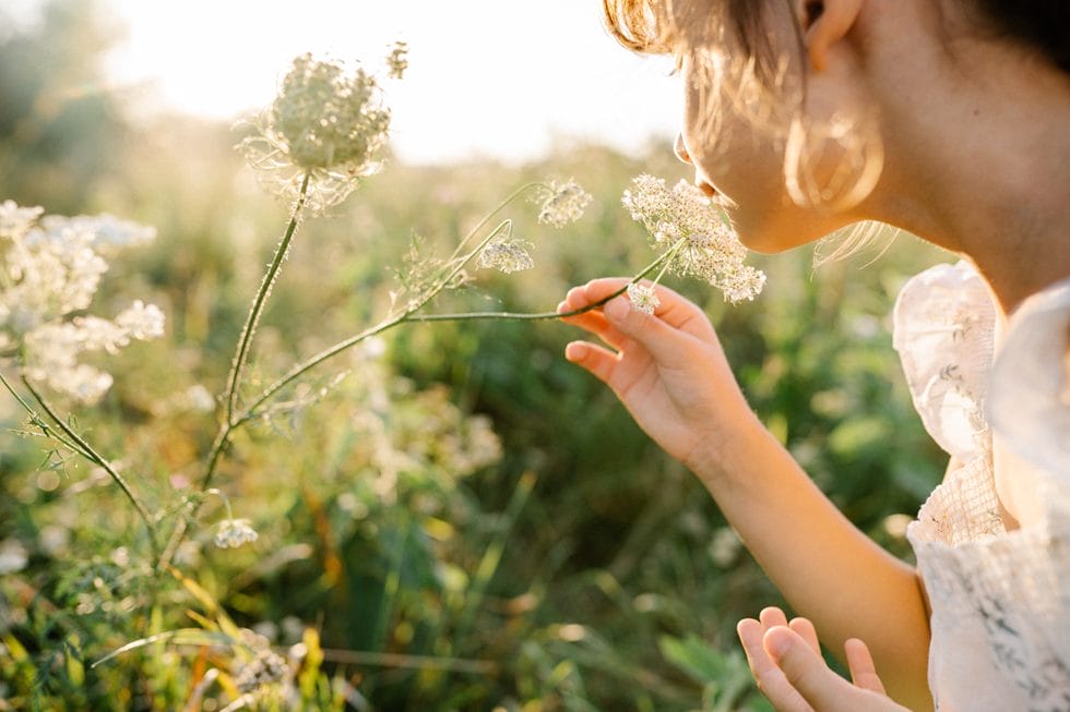 girl smelling flower on beautiful sunlight field