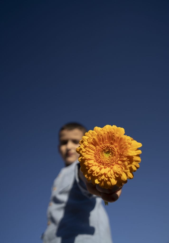 en lille dreng holder en gul gerbera