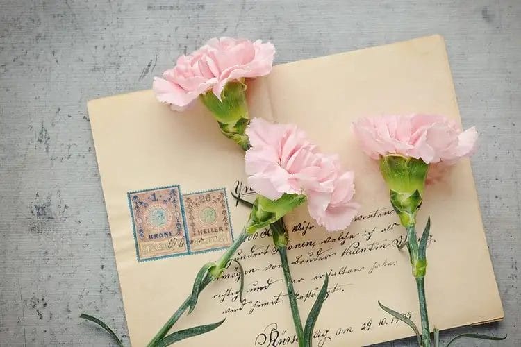 blomster på en konvolut 