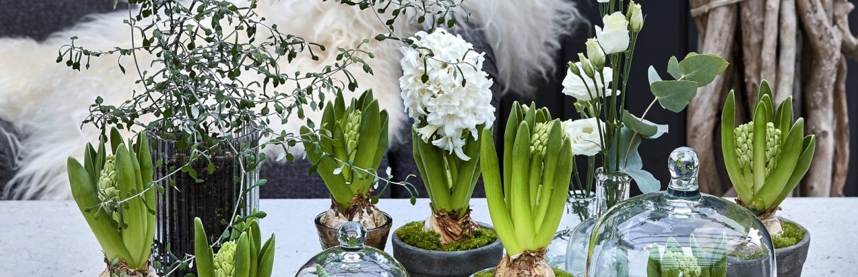 Blomster i Svendborg
