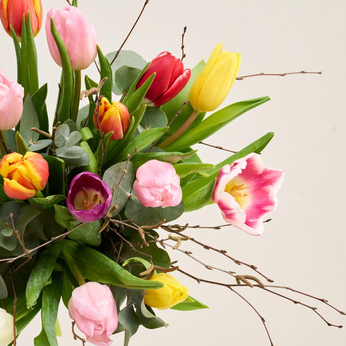 De farverige tulipaner