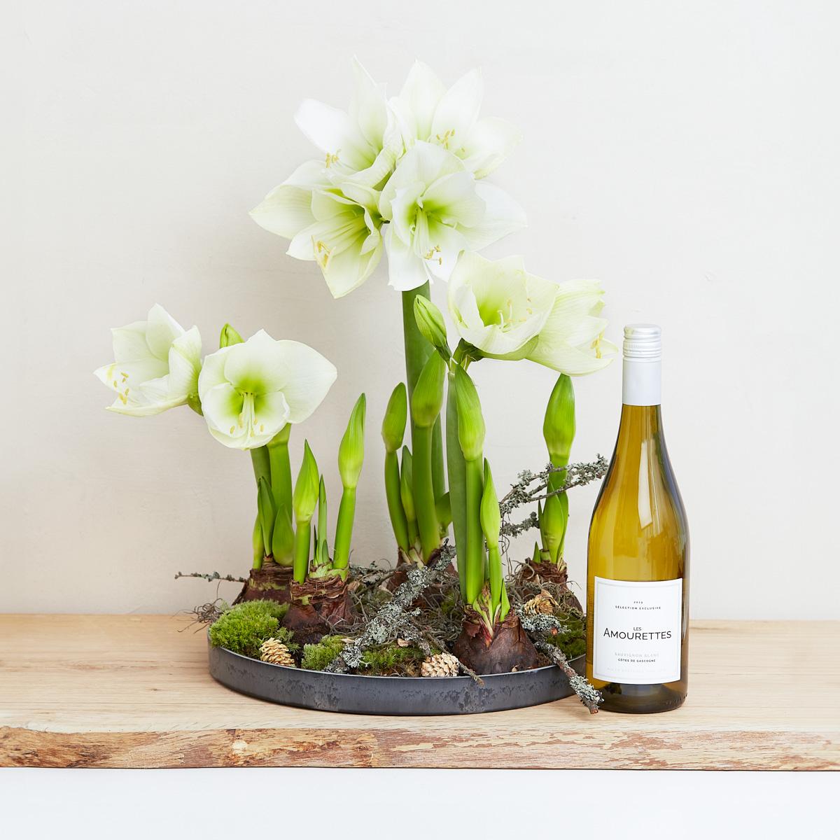 Amaryllis dekoration med Les Amourettes, Sauvignon Blanc