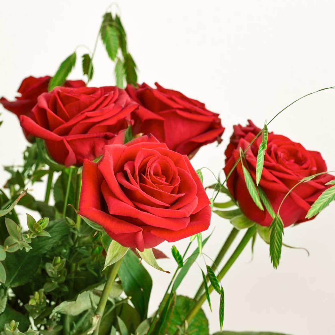 De røde roser | Interflora Danmark