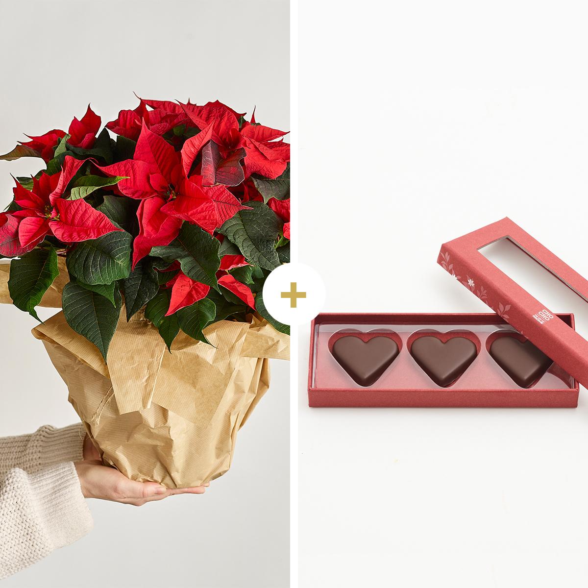 Julestjerne med CHO CHO marcipanhjerter