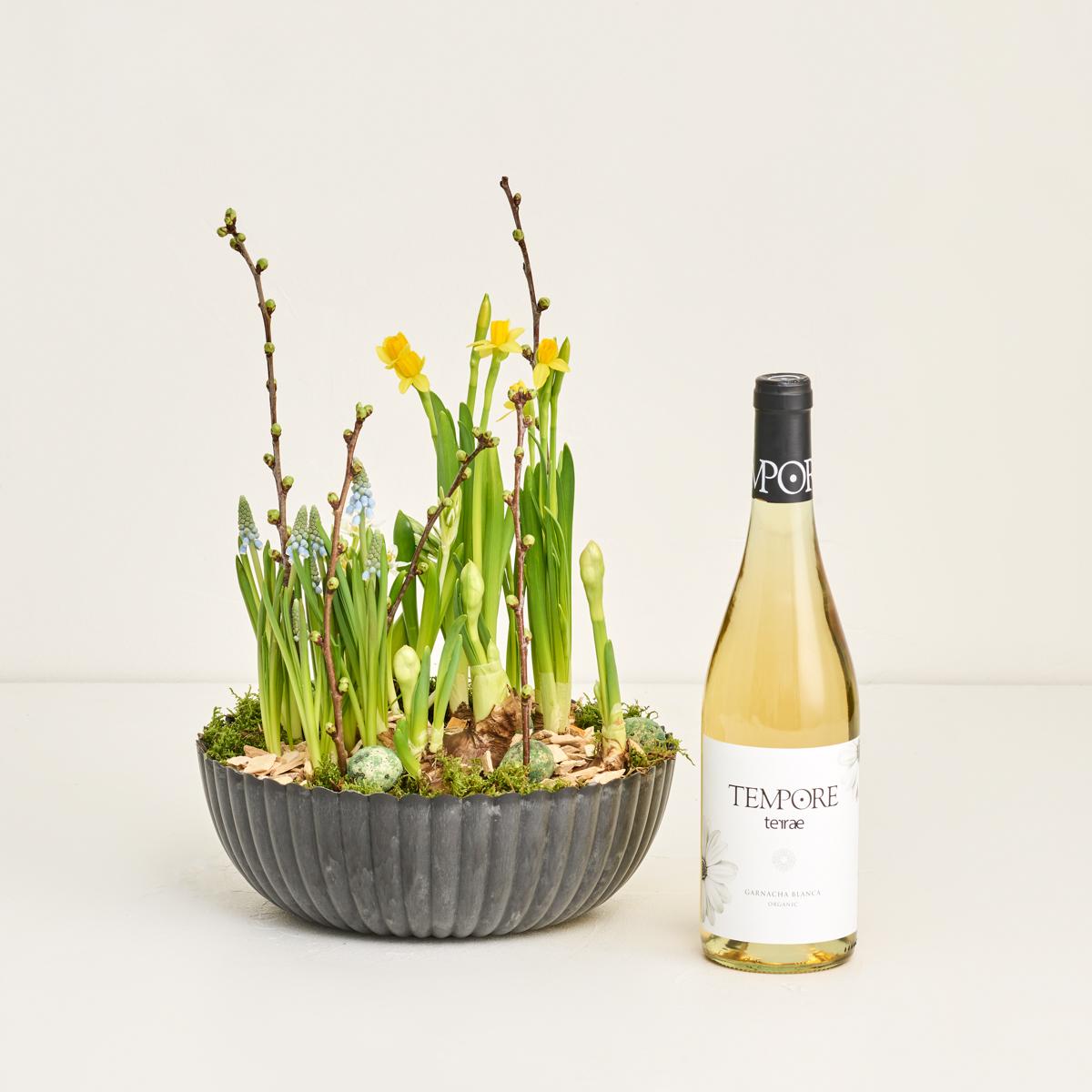 Forårsskål med blandede løg med Terrae Blanco