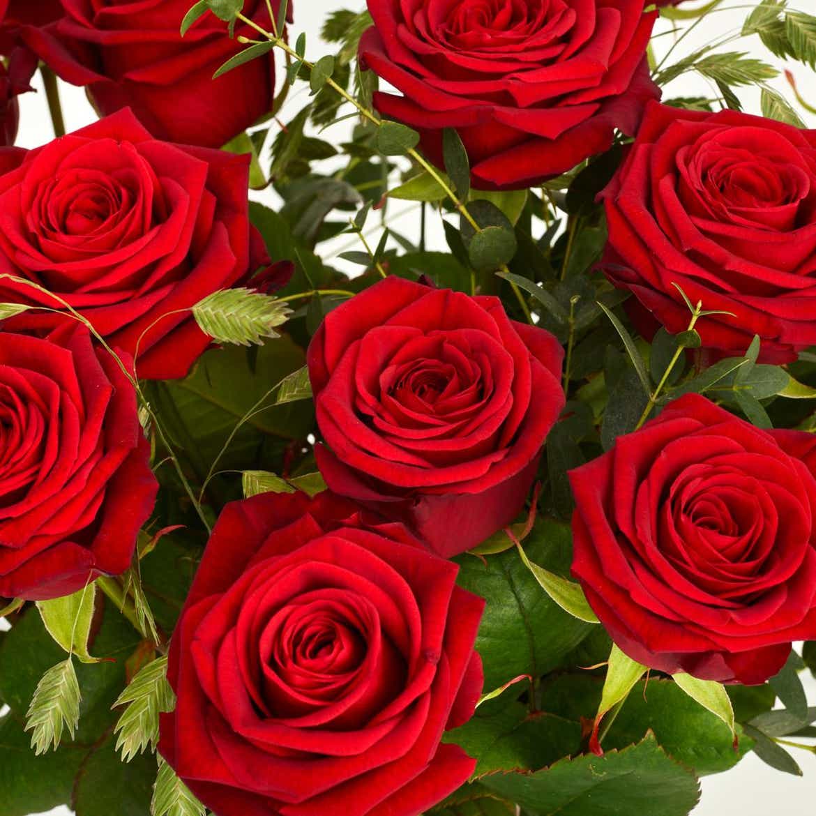 De røde roser | Interflora Danmark