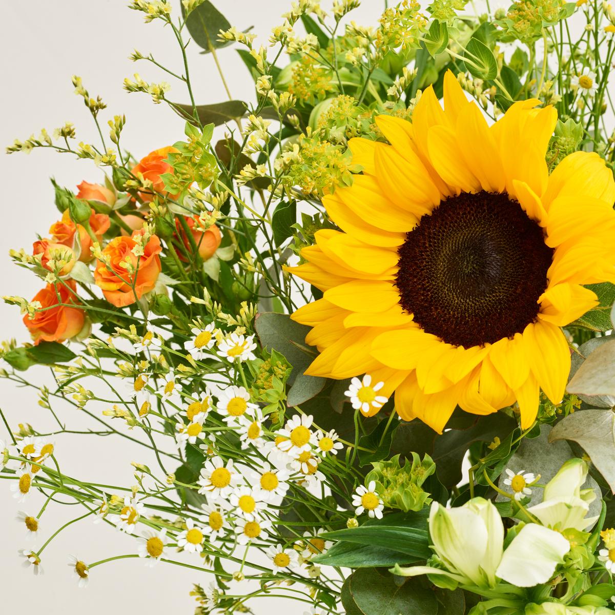 Billige Sommerblomster () Billige Sommerblomster