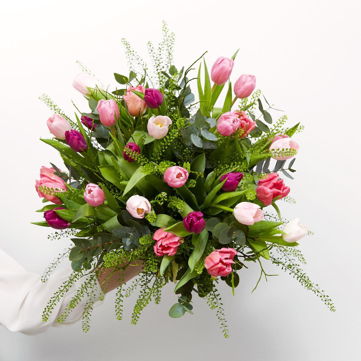 De enestående tulipaner