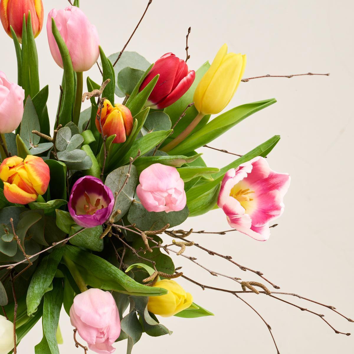 De farverige tulipaner