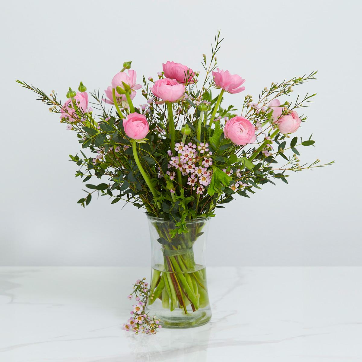 De lyserøde ranunkler