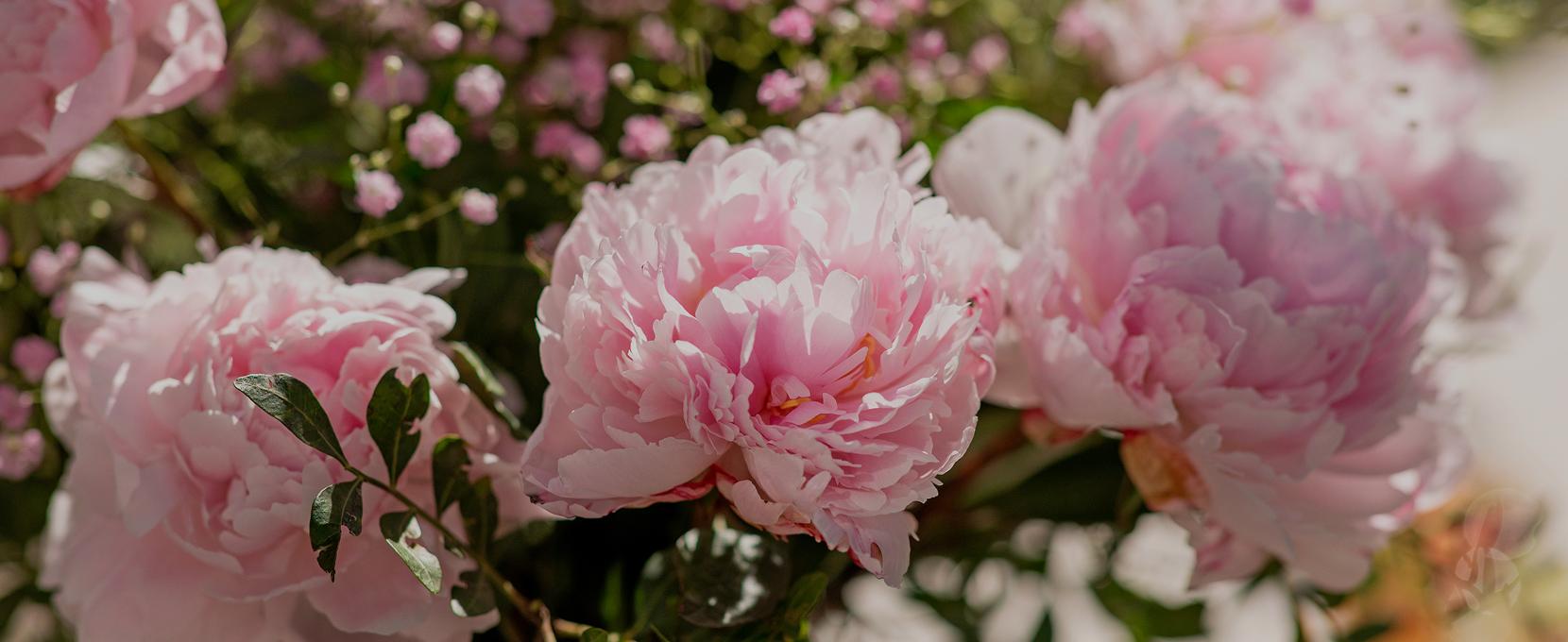 Overrask med en blomstrende hilsen