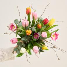 De farverige tulipaner