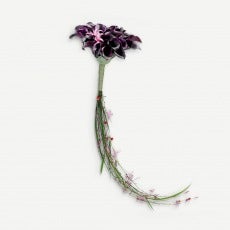 Ungdommelig brudebuket - lilla blomster/nuancer